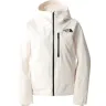 The North Face Women's Descendit Jacket
