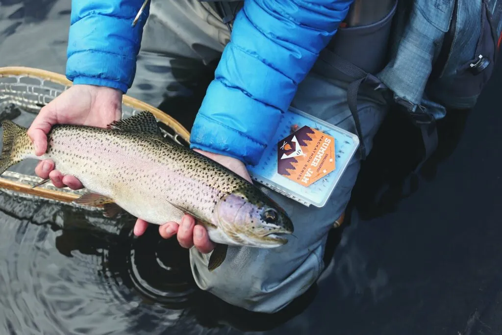 Fisk som ligger i två händer