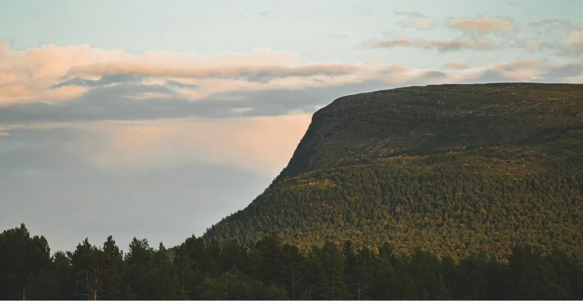 Vandring omberg